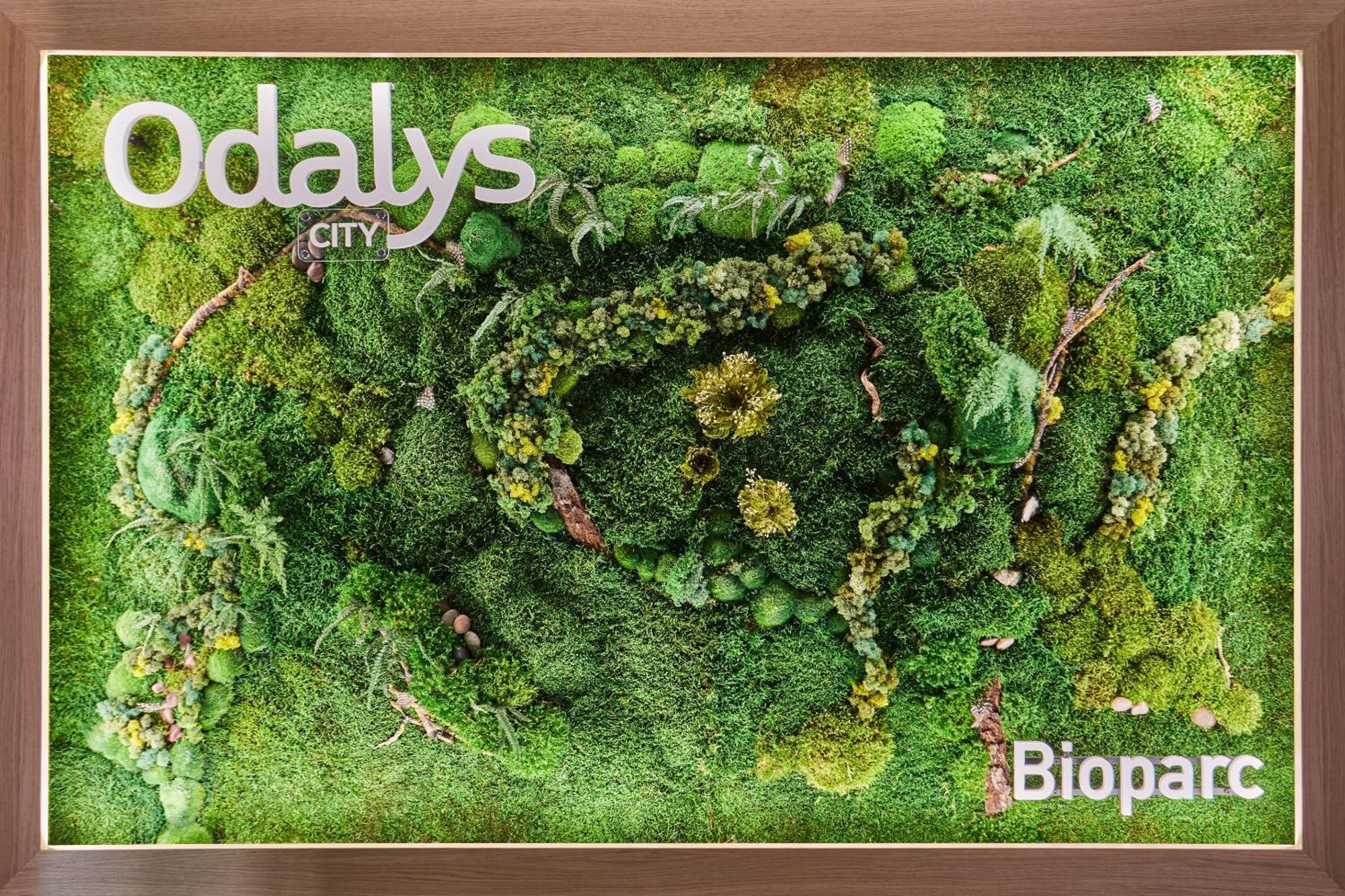Appart'Hotel Odalys City - Bioparc Lyon Est ליון מראה חיצוני תמונה
